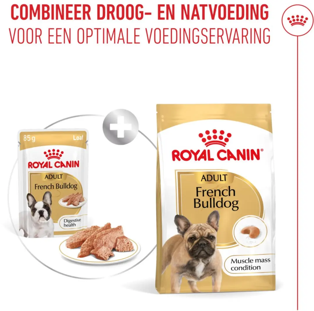 Royal Canin Natvoer French Bulldog 12x85g