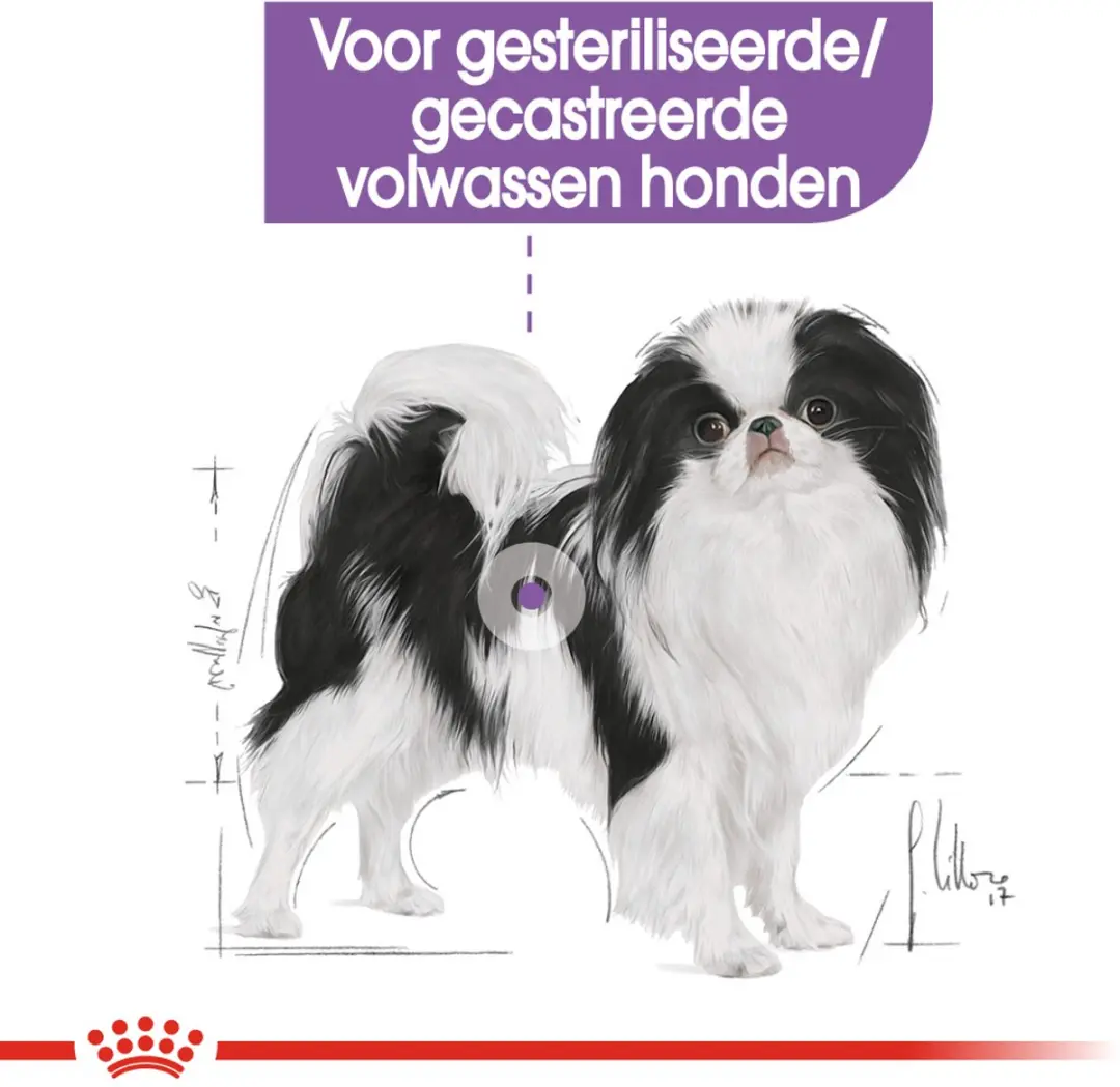 Royal Canin Sterilised X-Small Hondenvoer - 1.5 kg - afbeelding 6 van 6