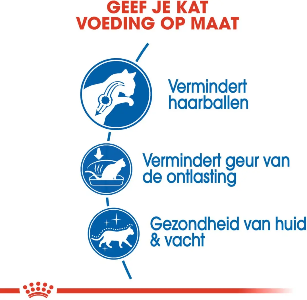 Royal Canin Indoor Long Hair Kattenvoer 400g