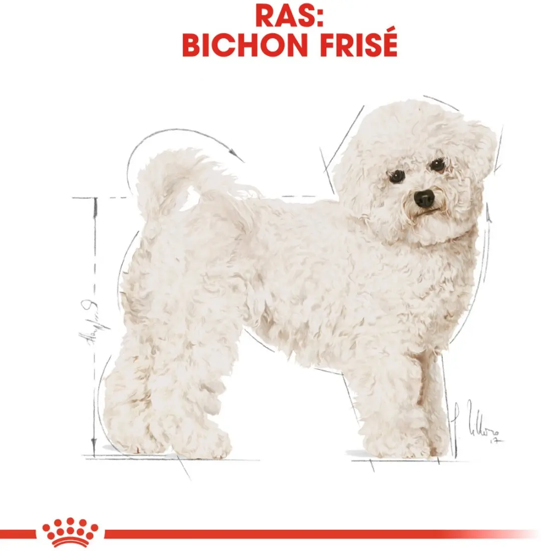 Royal Canin Bichon Frisé Adult Hondenvoer - 1,5 kg - afbeelding 6 van 6