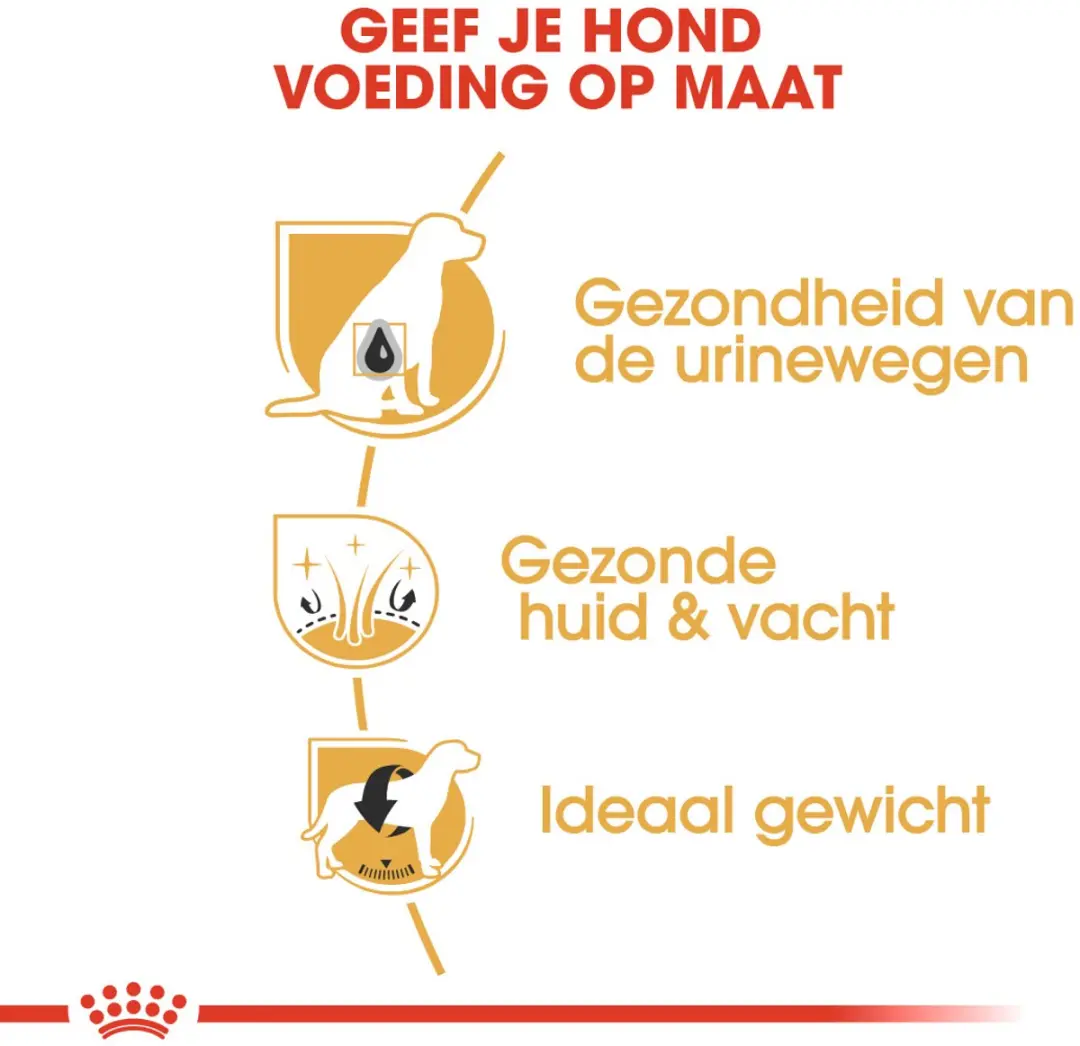 Royal Canin Bichon Frisé Adult Hondenvoer - 1,5 kg