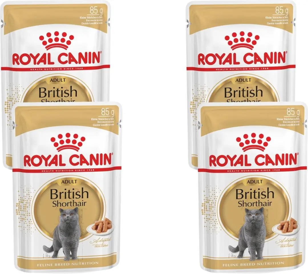 Royal Canin British Shorthair Loaf Natvoer