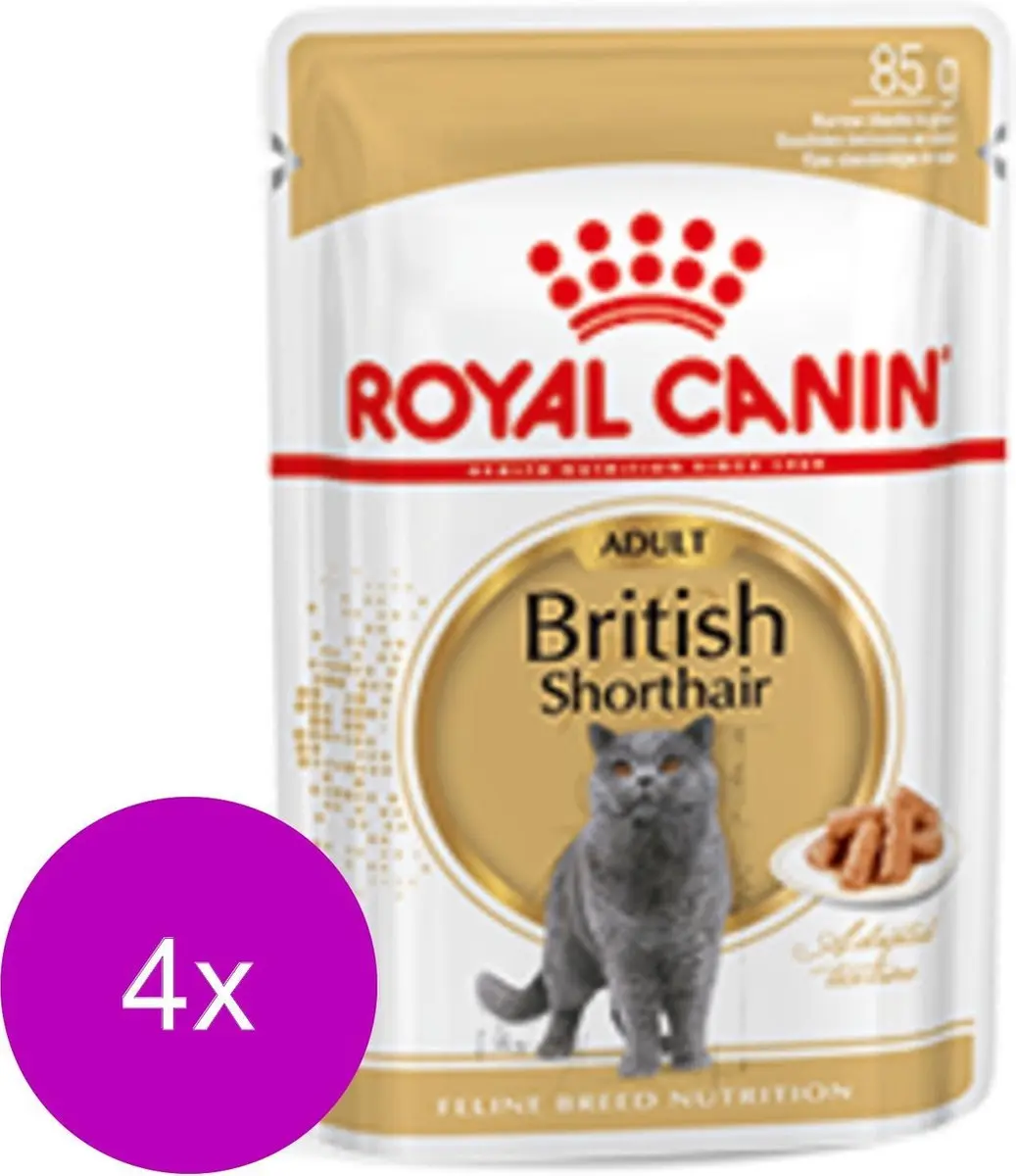 Royal Canin British Shorthair Loaf Natvoer - 48 Stuks
