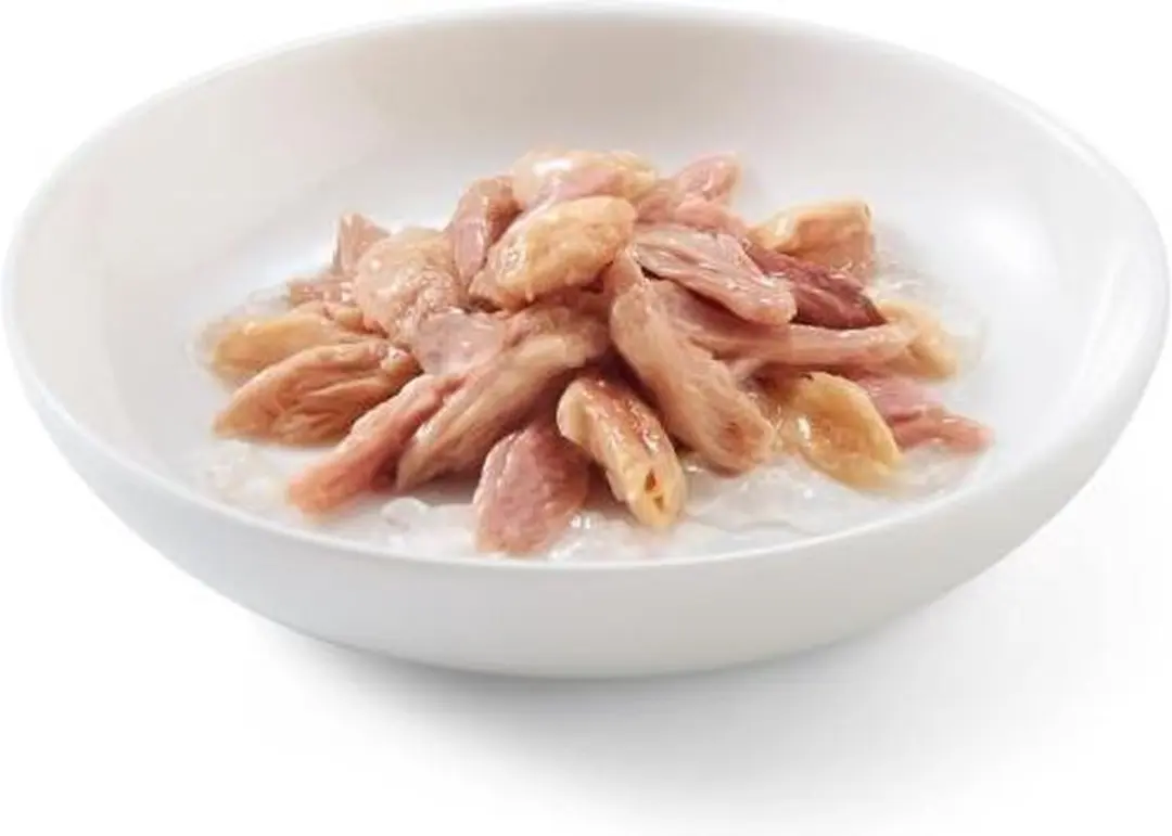 Schesir Kattenvoer Tonijn & Zalm in Gelei 85g