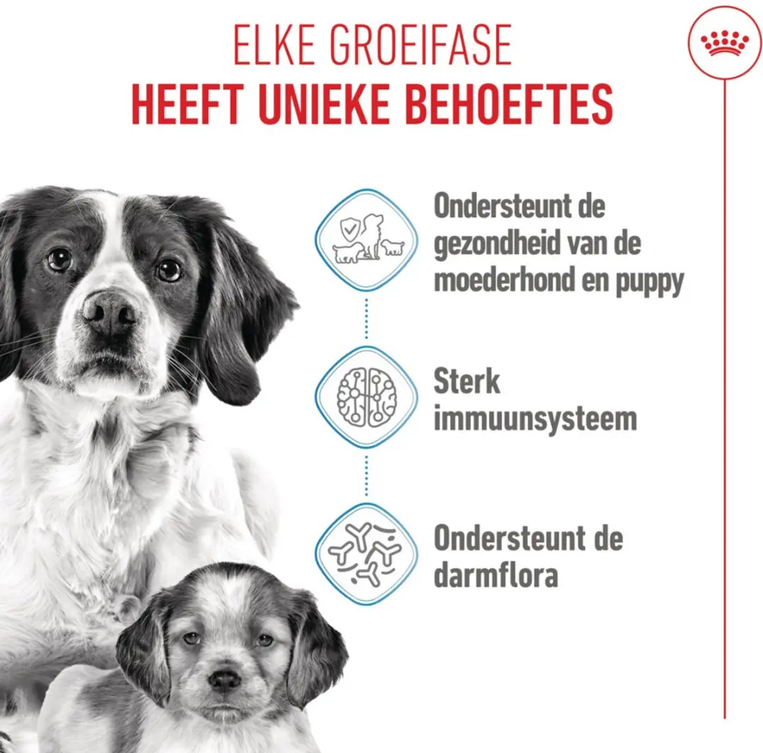 Royal Canin Hondenvoer Droog Mother & Baby Medium Starter 1kg