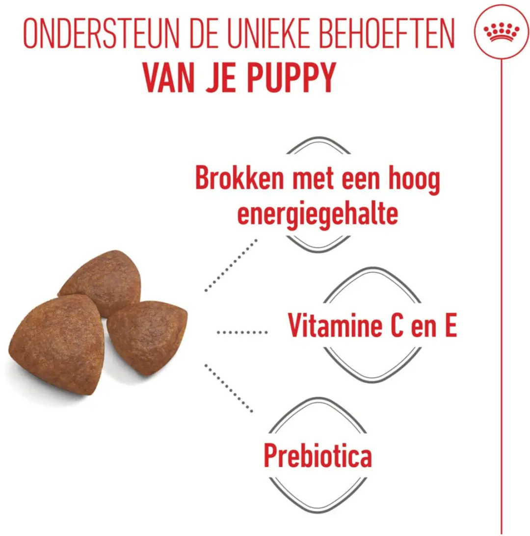 Royal Canin Hondenvoer Droog Mother & Baby Medium Starter 1kg