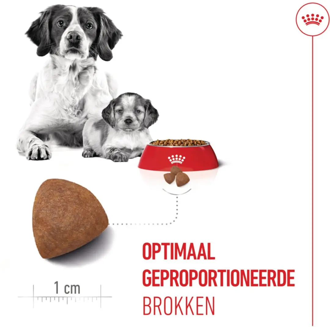 Royal Canin Hondenvoer Droog Mother & Baby Medium Starter 1kg