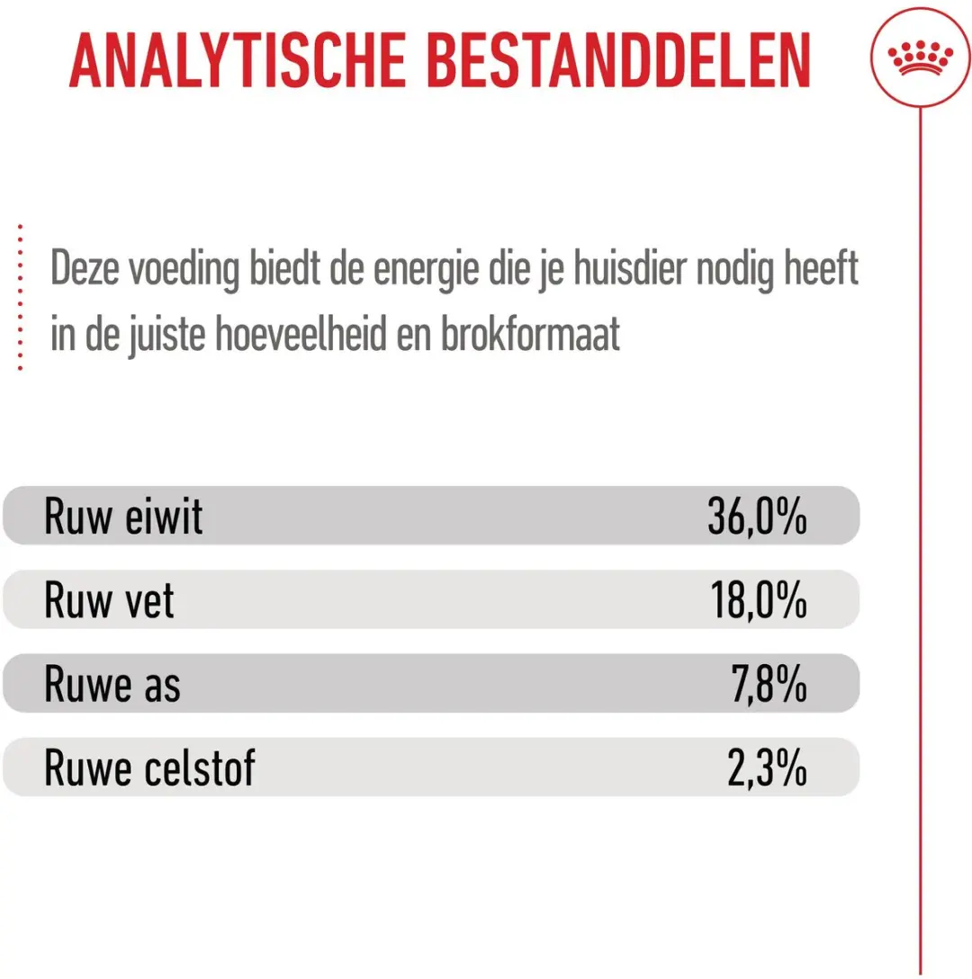 Royal Canin Droog Kittenvoer - 3x2kg