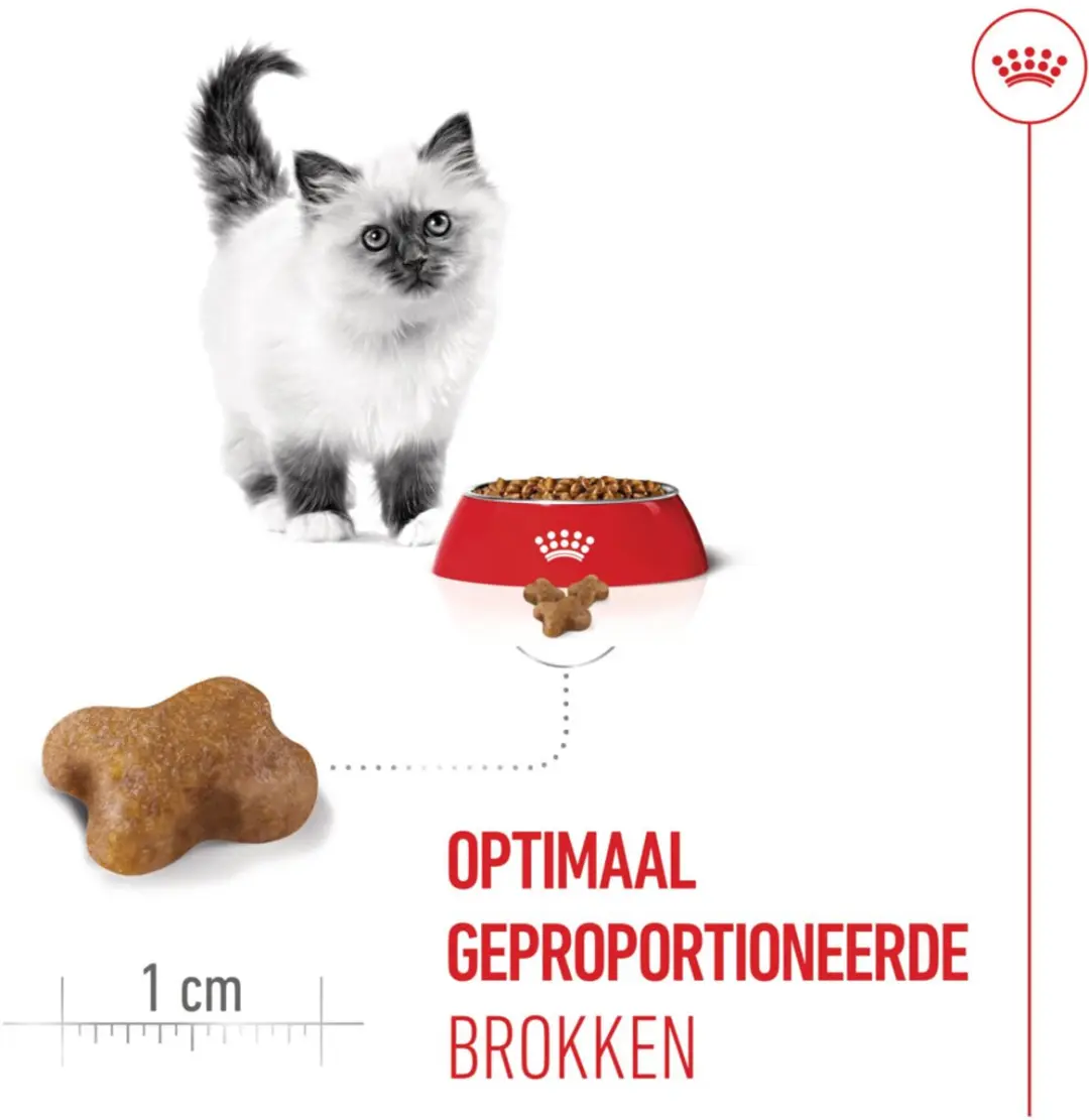 Royal Canin Droog Kittenvoer - 3x2kg