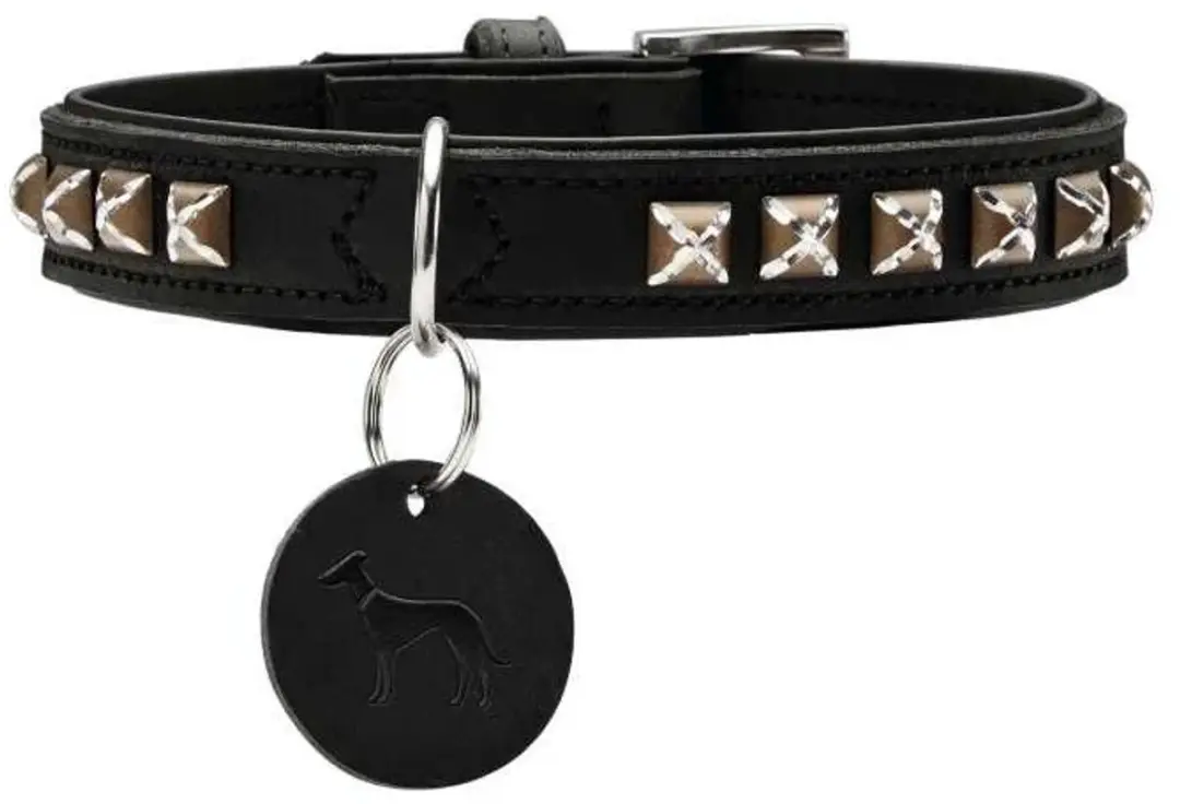 Hunter Larvik Hondenhalsband