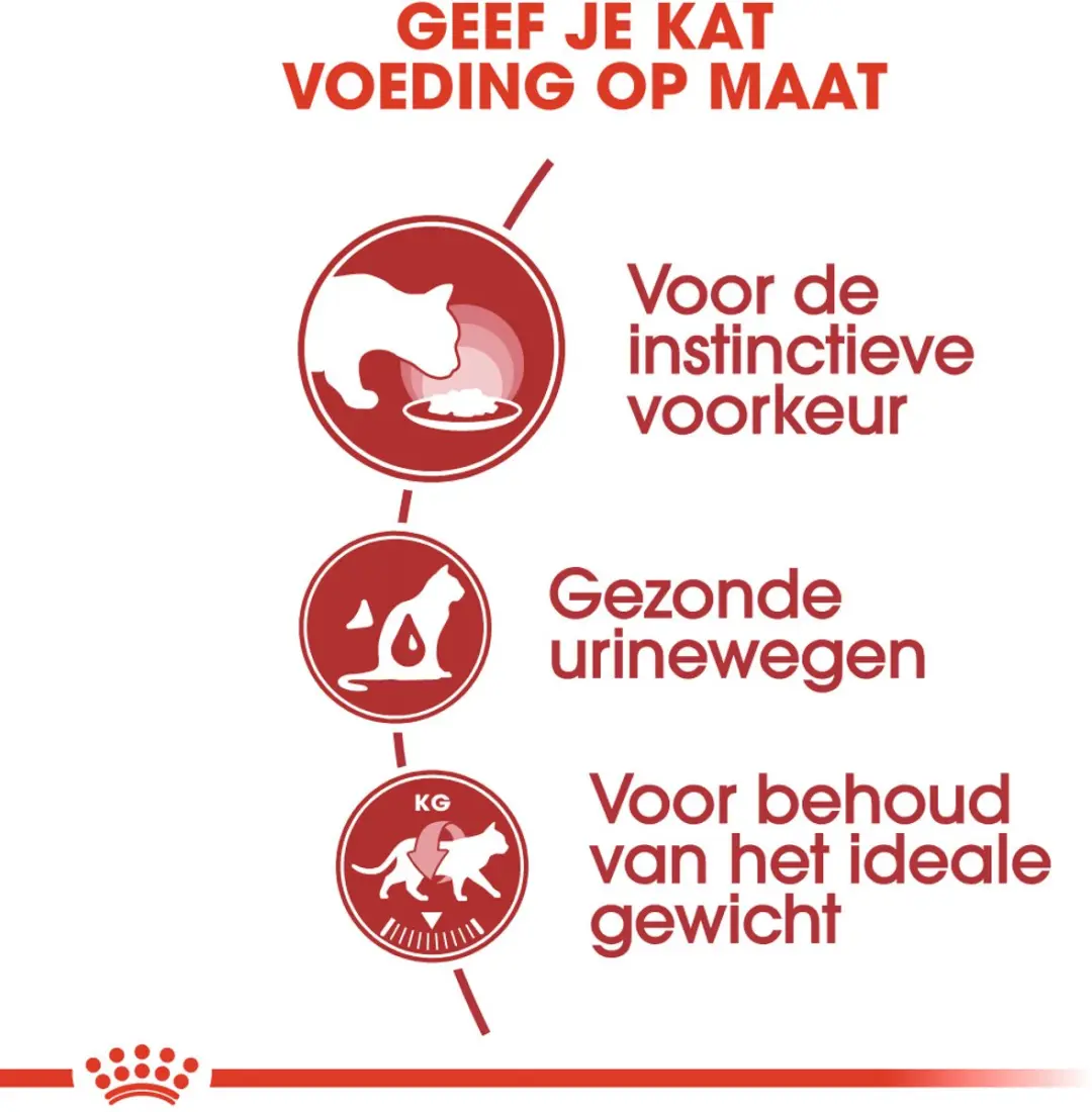 Royal Canin Instinctive Kattenvoer - 12x85g