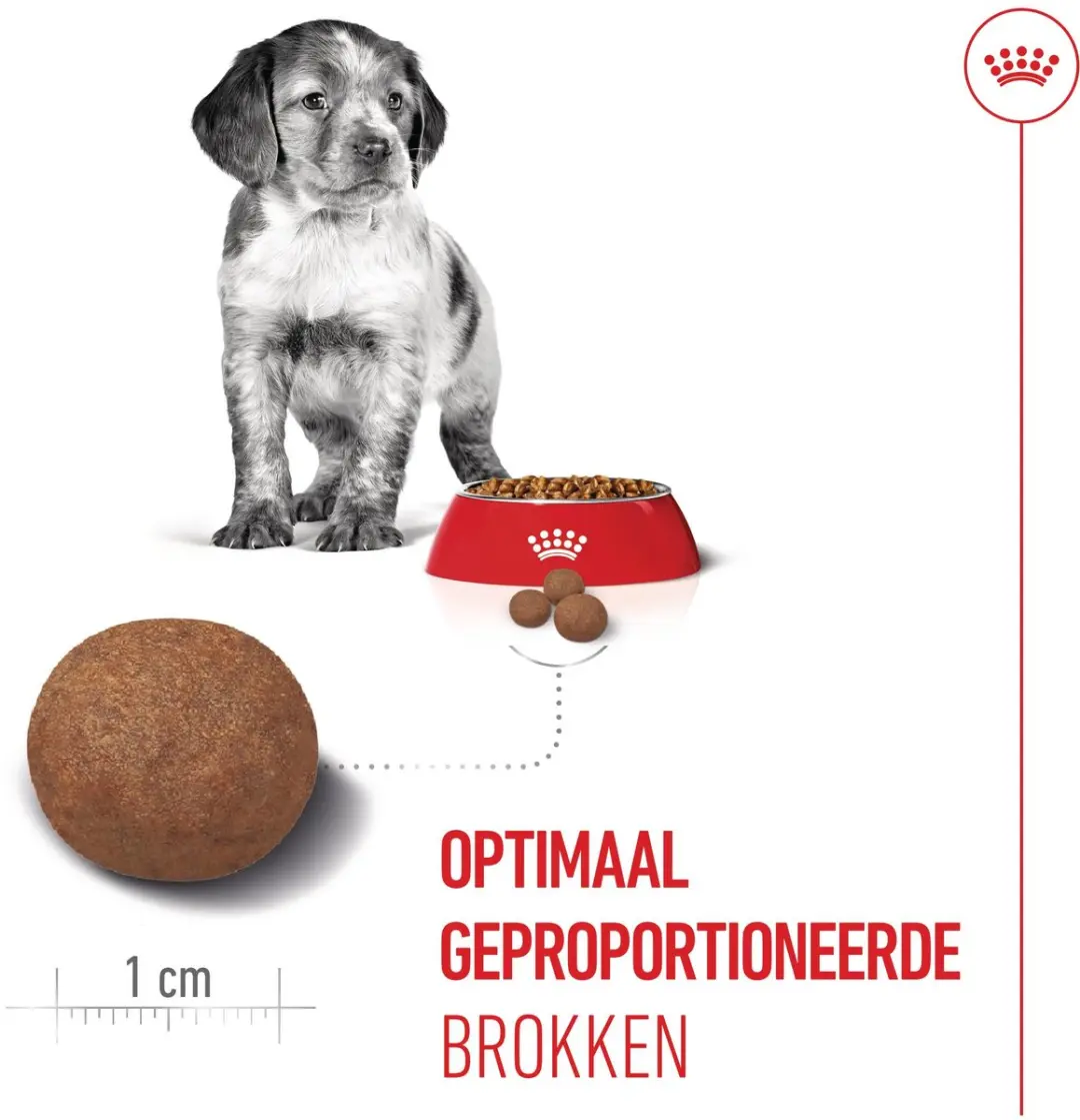 Royal Canin Puppy Medium Hondenbrokken 10kg