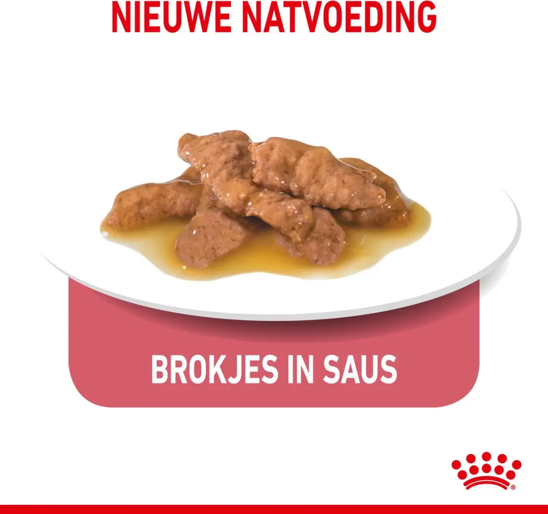 Royal Canin Indoor 7+ In Gravy Kattenvoer - 12x85g