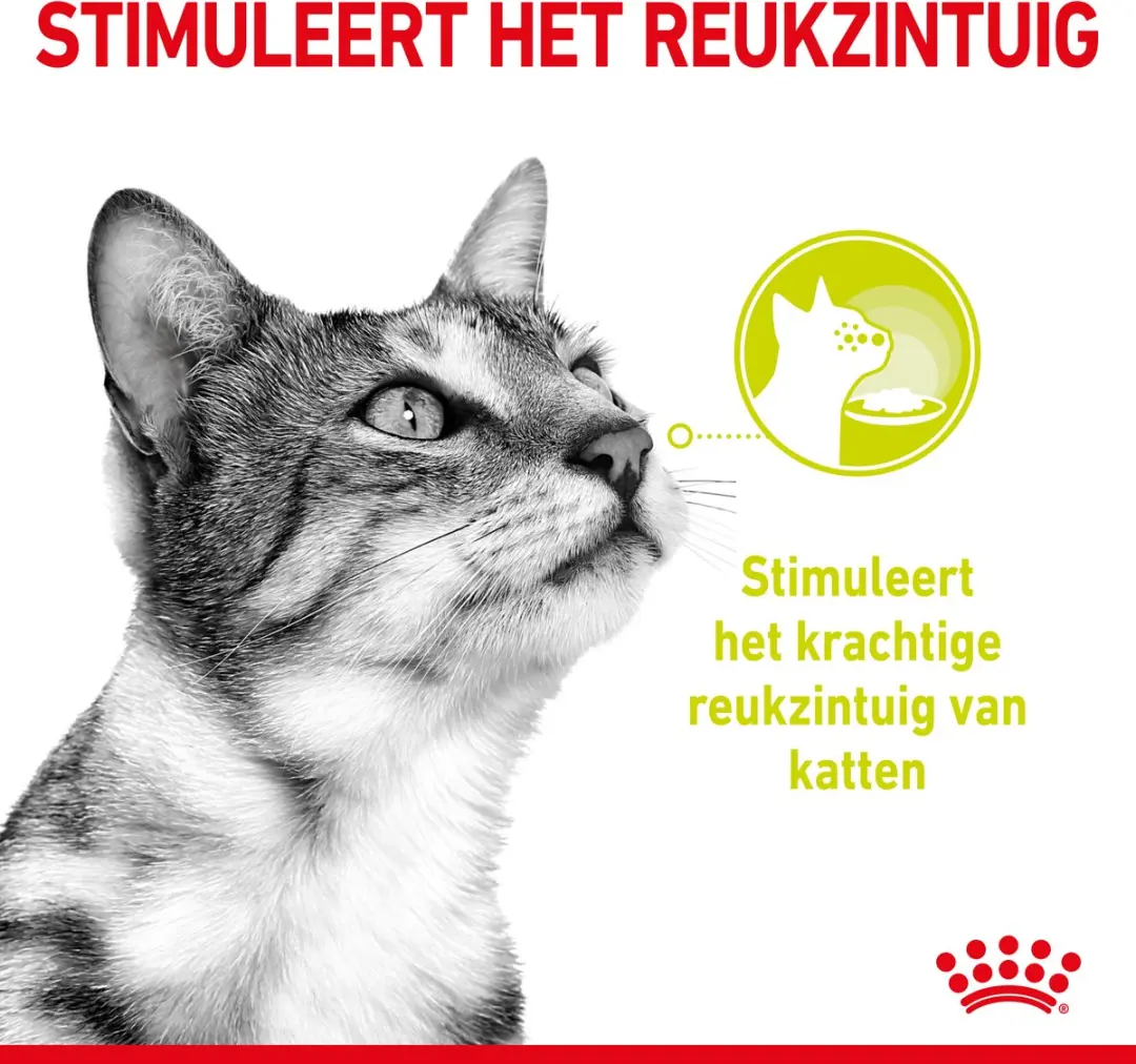 Royal Canin Sensory Mix Kattenvoer - 12x85g In Gravy