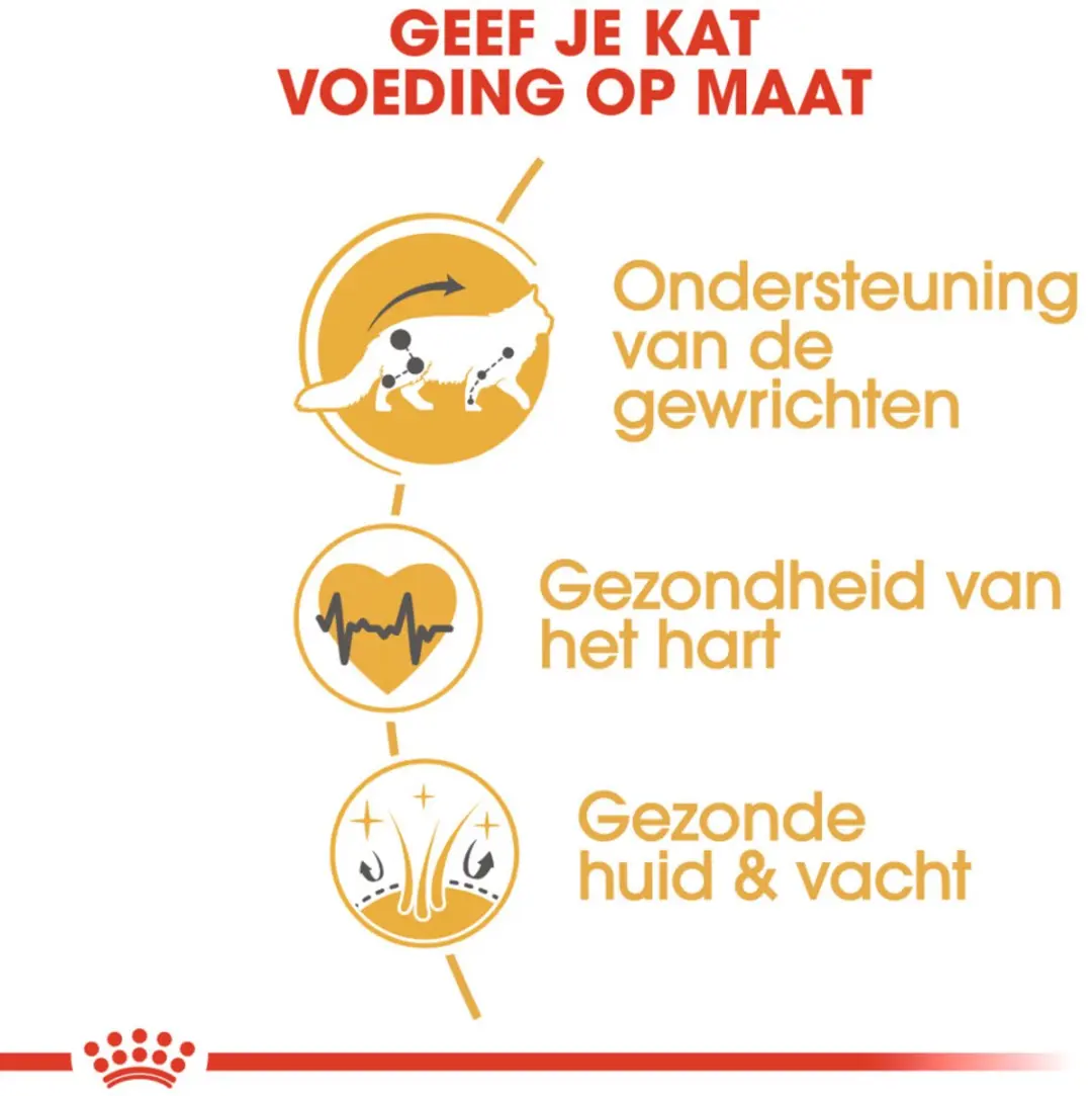Royal Canin Maine Coon Adult Kattenvoer - 6x2kg