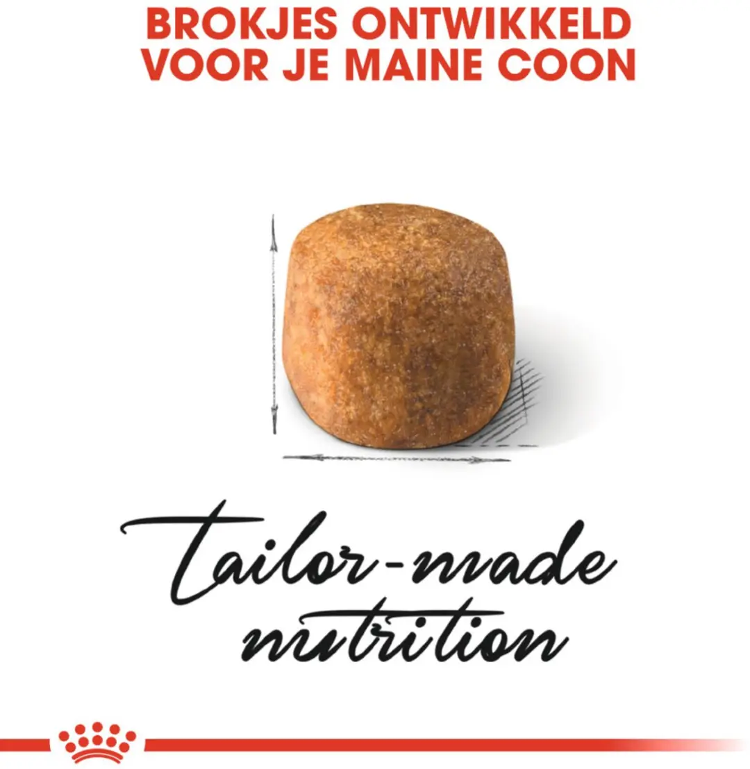 Royal Canin Maine Coon Adult Kattenvoer - 6x2kg