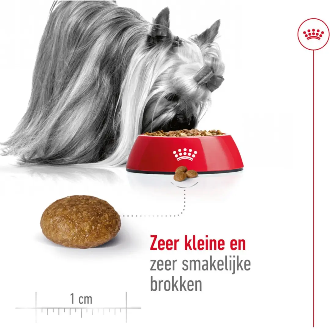 Royal Canin X-Small Adult 8+ Hondenvoer - 12 kg