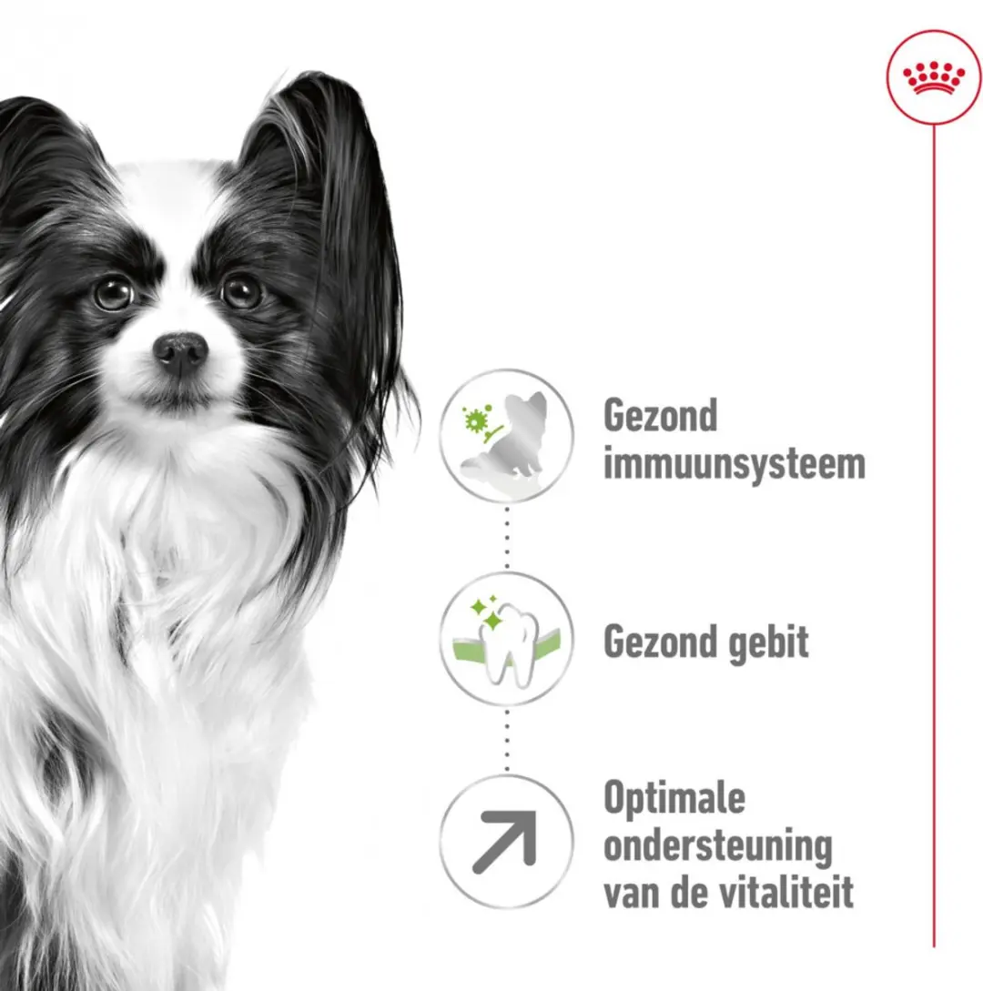 Royal Canin X-Small Adult 8+ Hondenvoer - 12 kg
