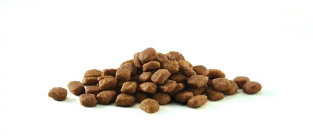 Purina ONE Gesteriliseerde Binnenkatten Kip 1,5kg