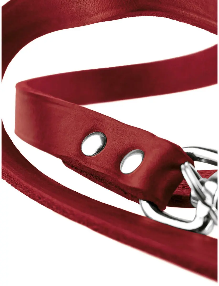 Hunter Verstelbare Looplijn Leder - 200x1.3cm - Rood