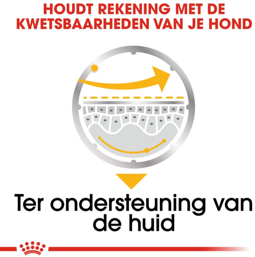 Royal Canin Dermacomfort Hondenvoer Nat - 96 Stuks