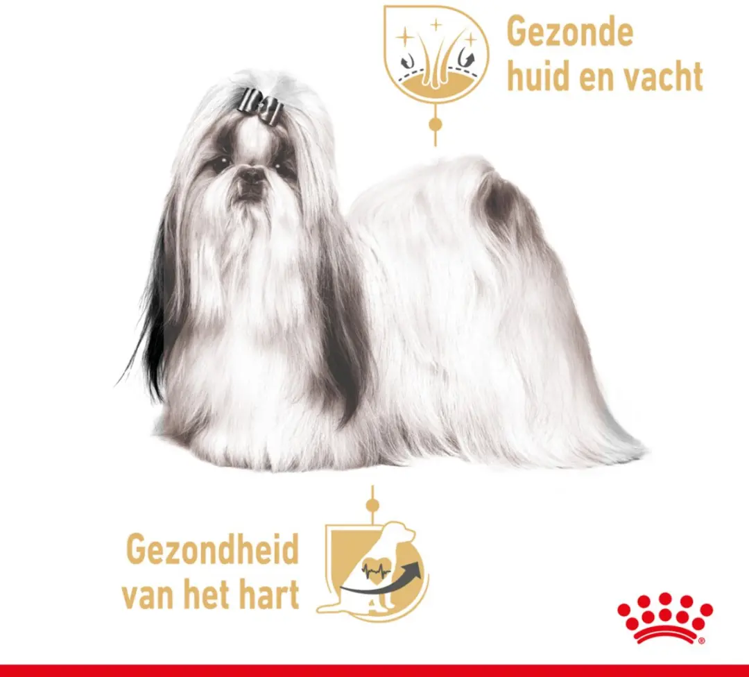 Royal Canin Shih Tzu Adult Hondenvoer - 8x96 Stuks