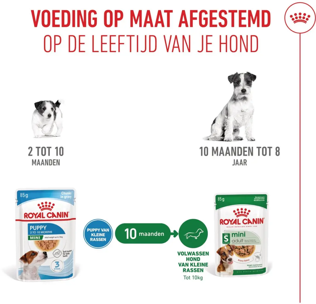 Royal Canin Mini Puppy Natvoer 24x85g