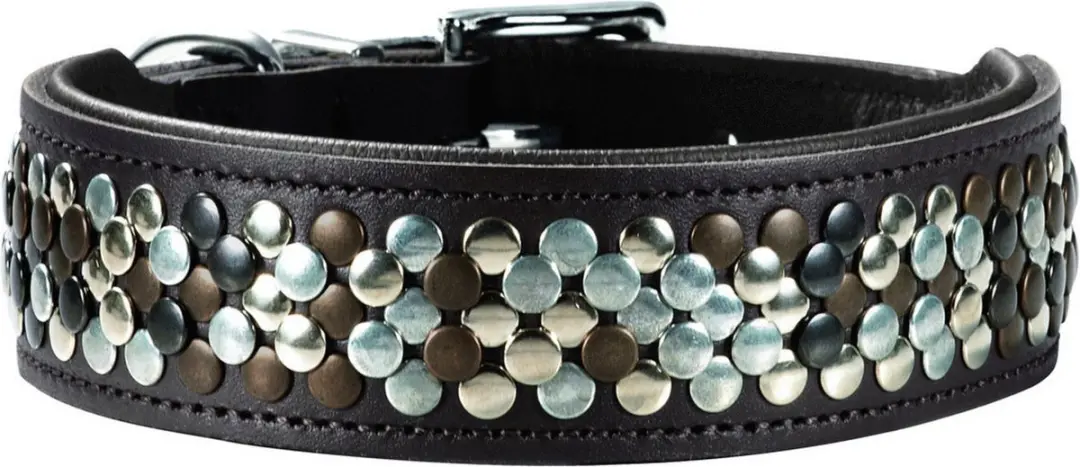 Hunter Halsband Arizona Bruin
