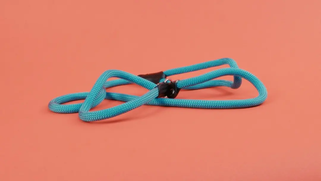 Hunter Retrieverlijn Stop Freestyle 10mm x 170cm - Turquoise