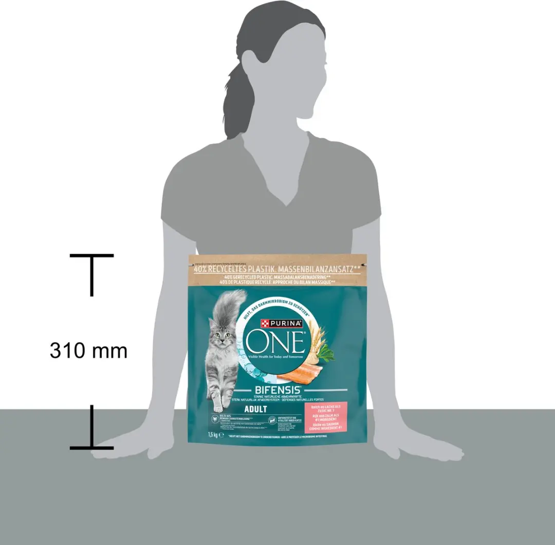 Purina ONE Adult Kattenbrokjes Zalm & Volkoren 4x1,5kg