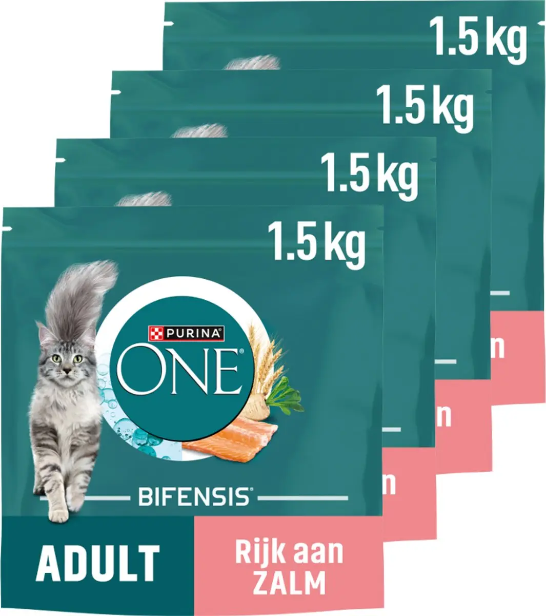 Purina ONE Adult Kattenbrokjes Zalm & Volkoren 4x1,5kg