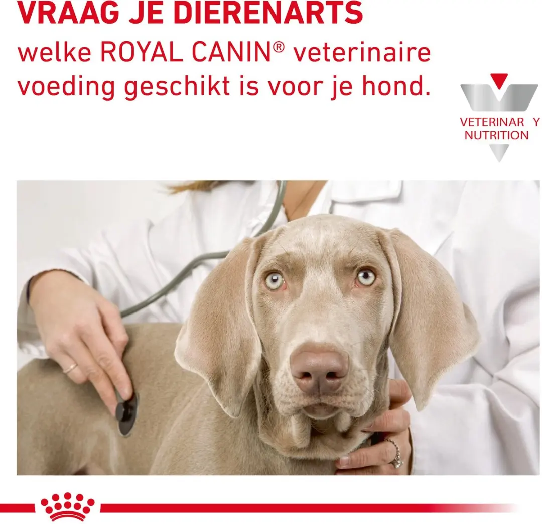 Royal Canin Cardiac Support Blik - 12x410g