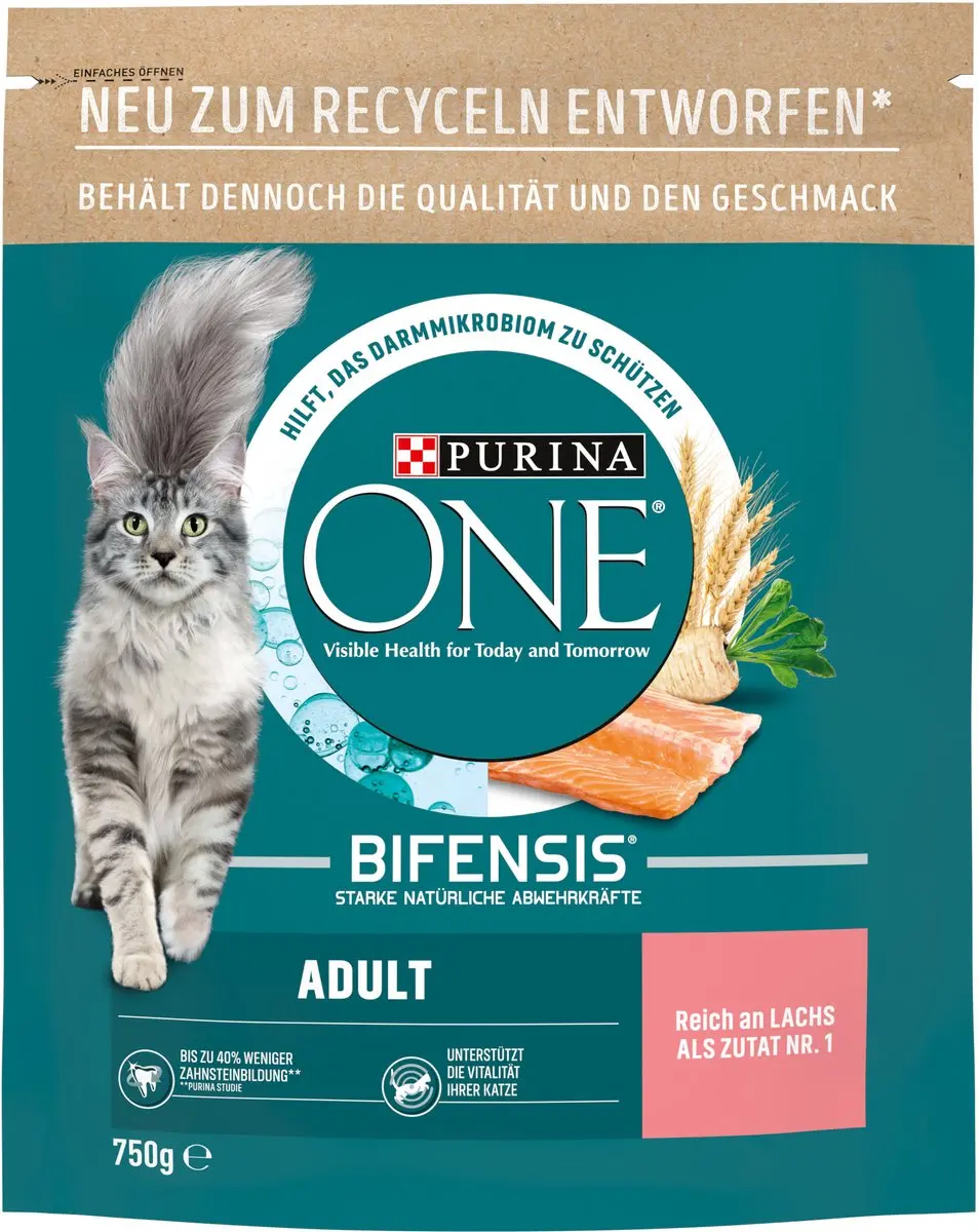 Purina ONE Bifensis Adult Kattenvoer Zalm 6x750g