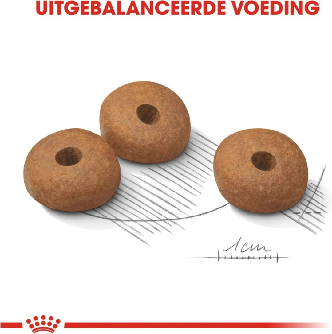 Royal Canin Light Weight Care Medium Hondenvoer 10kg
