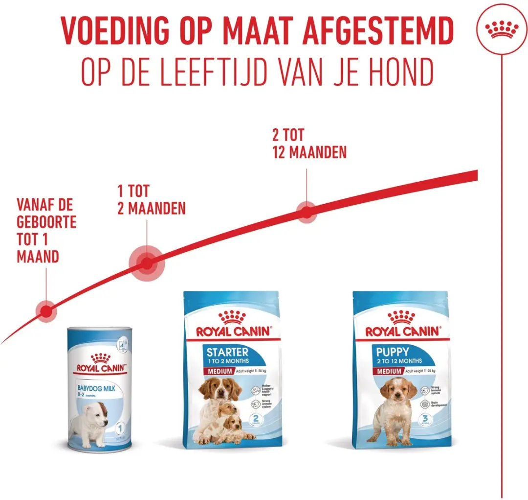 Royal Canin Medium Starter Mother & Babydog 4kg - afbeelding 6 van 6