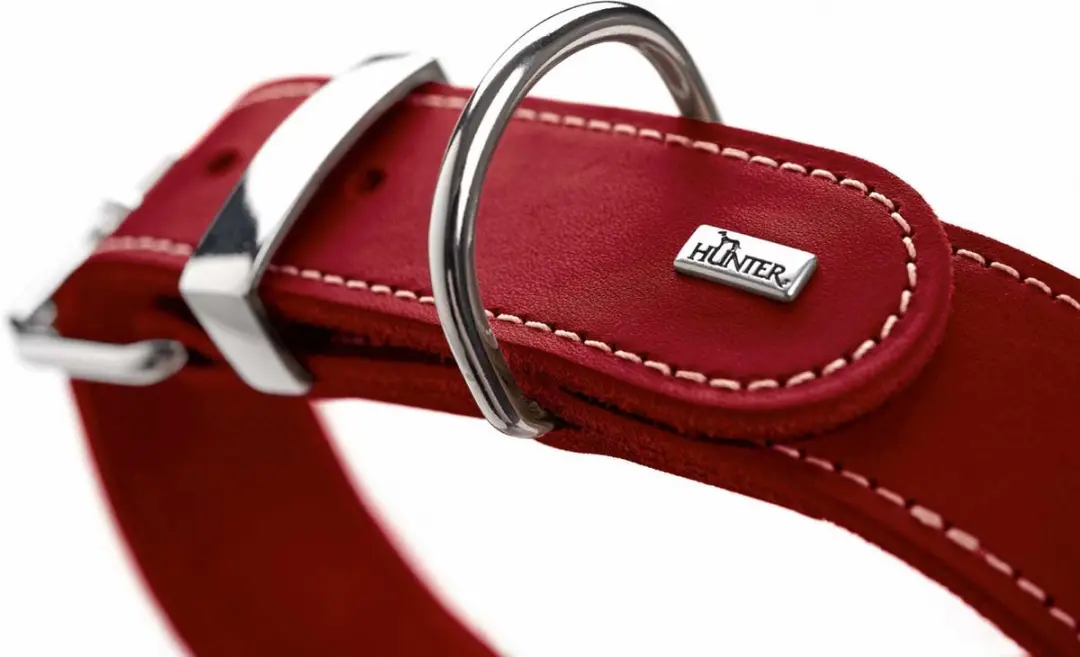 Hunter Halsband Aalborg Special Rood - 30cm