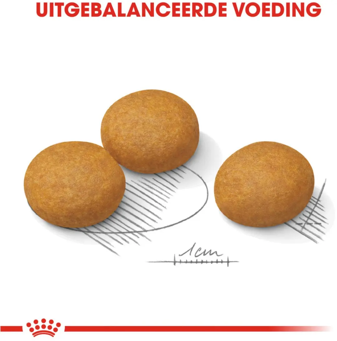Royal Canin Dermacomfort Maxi Hondenvoer - 12 kg - afbeelding 6 van 6