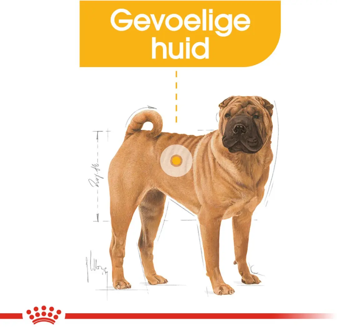 Royal Canin Dermacomfort Medium Hondenvoer - 12 kg