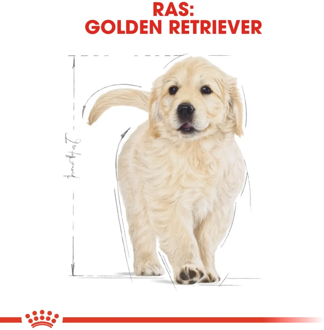 Royal Canin Golden Retriever Junior Hondenvoer - 3kg