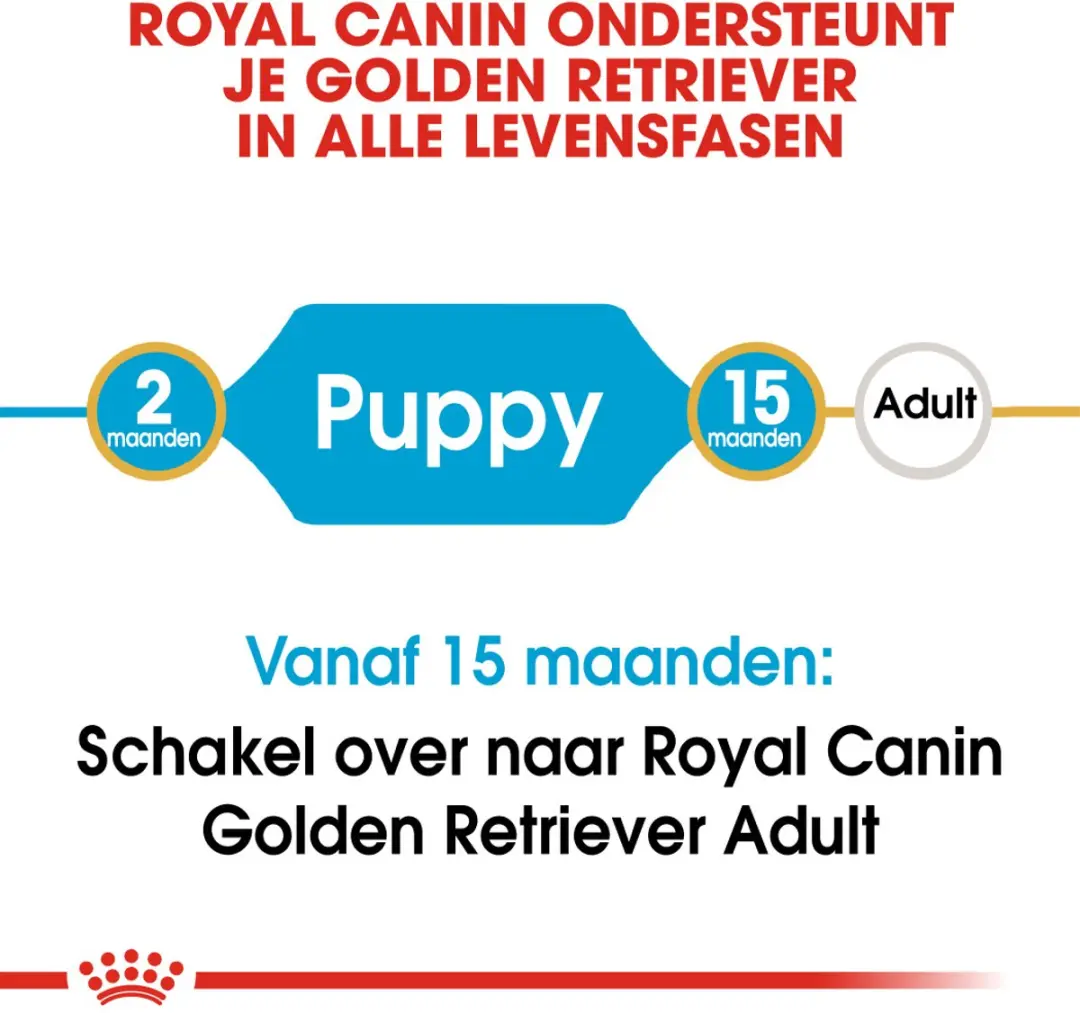 Royal Canin Golden Retriever Junior Hondenvoer - 3kg - afbeelding 6 van 6