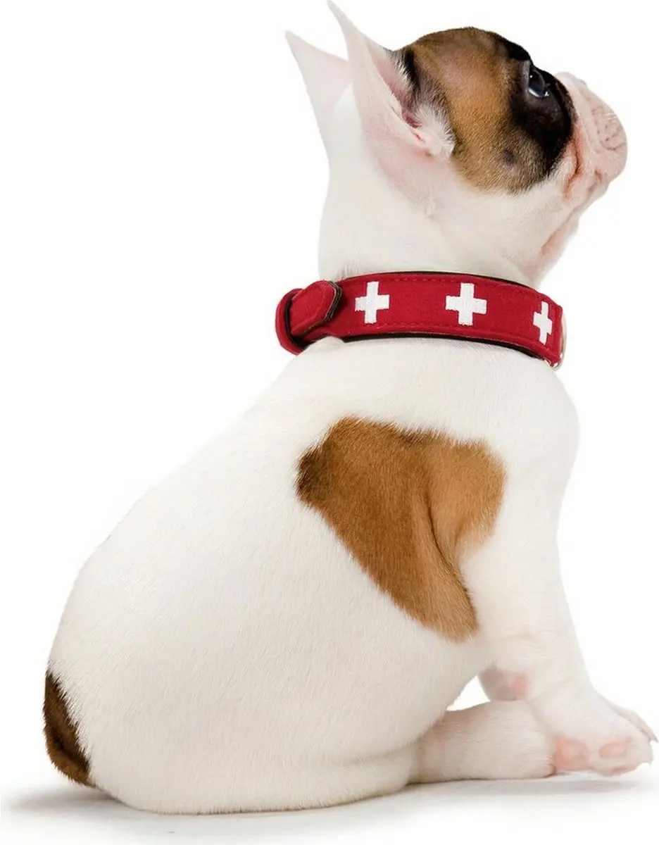 Hunter Hondenhalsband Swiss Leer Nappa Rood/Zwart 50x3,9cm