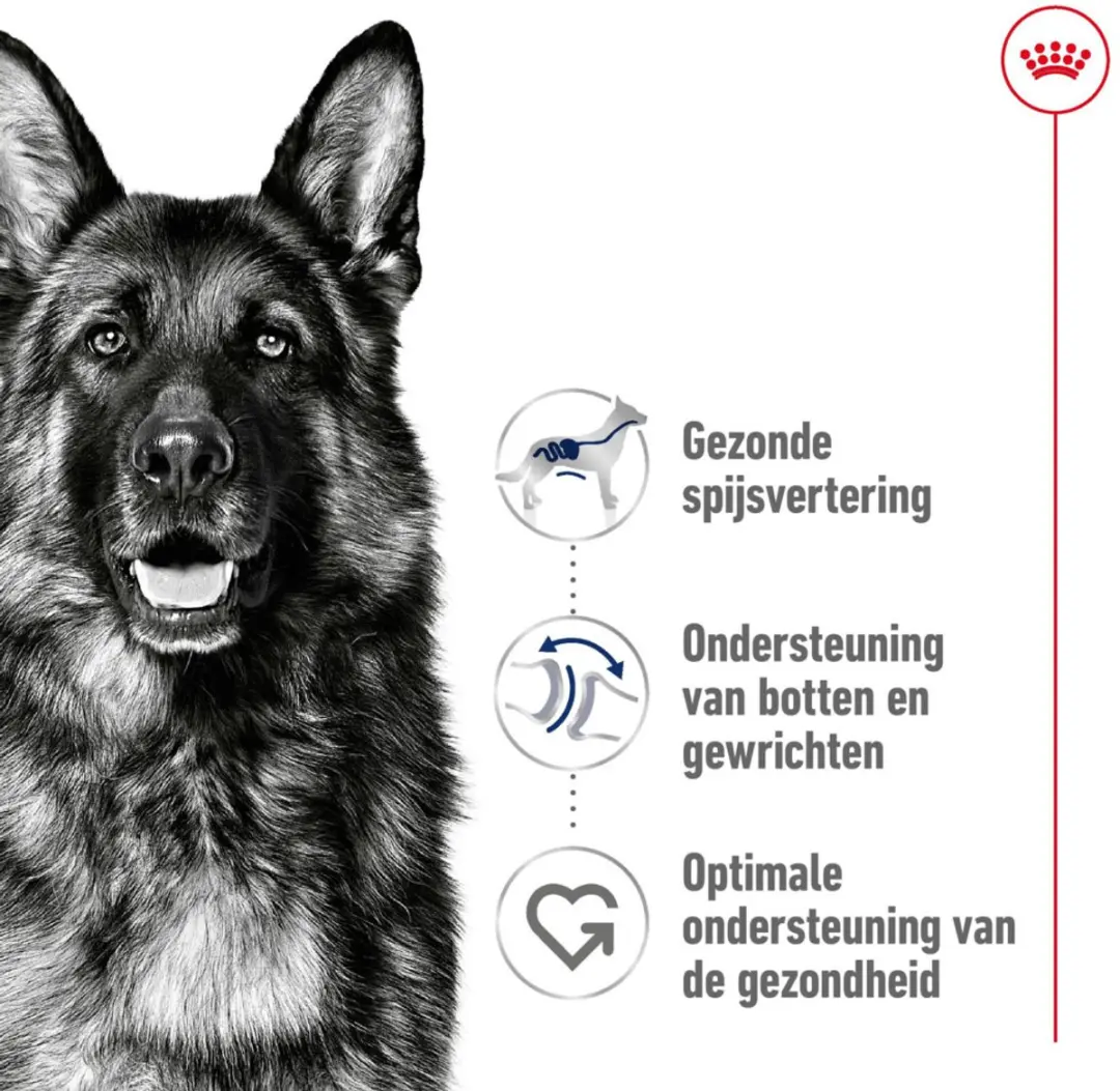Royal Canin Maxi Adult Hondenvoer - 4 kg