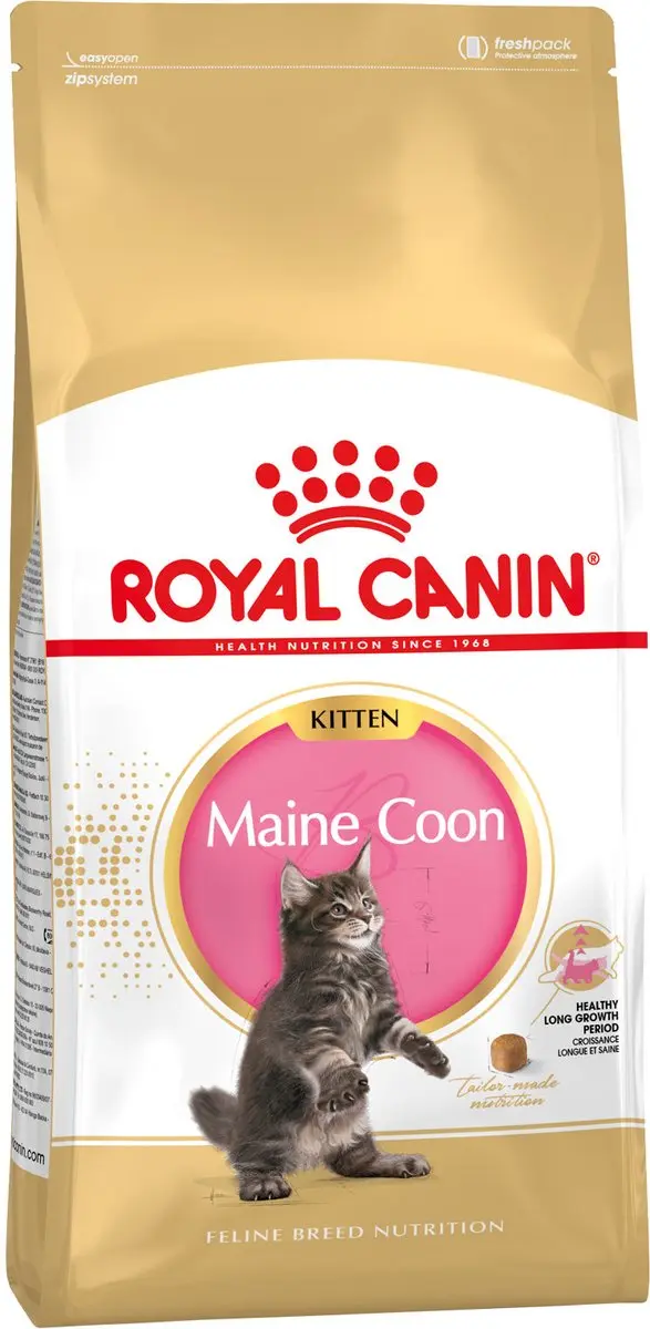 Royal Canin Maine Coon Kitten Kattenvoer - 10kg - afbeelding 6 van 6