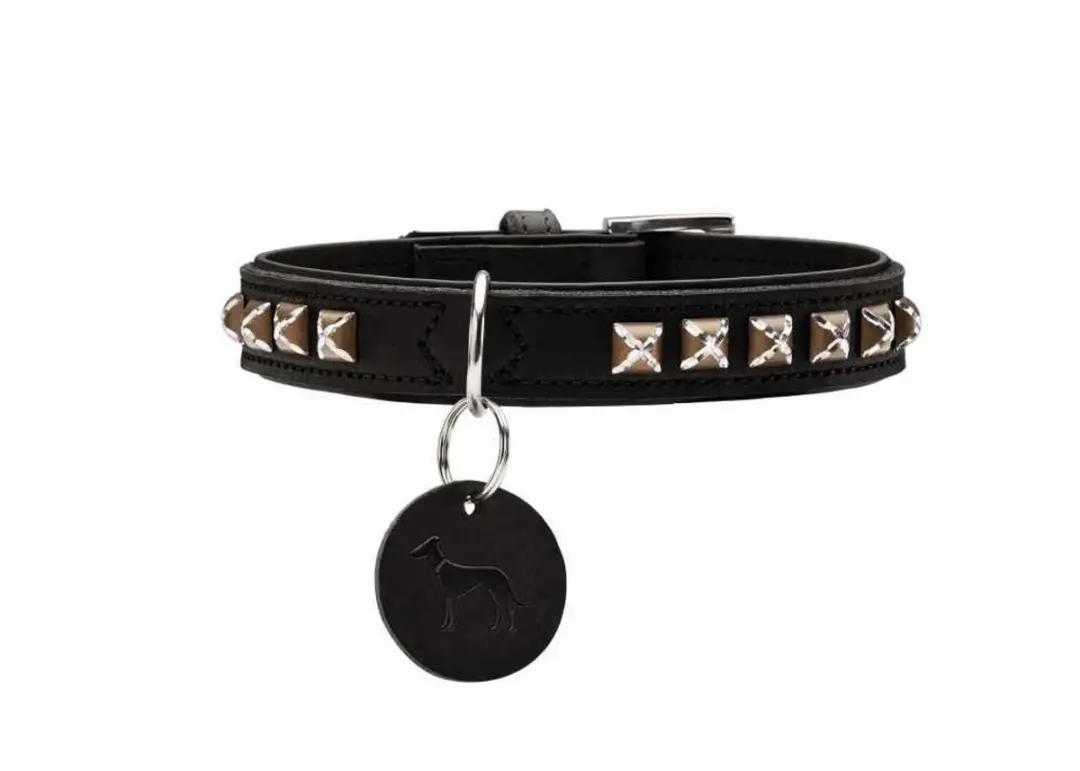 Hunter Larvik Hondenhalsband