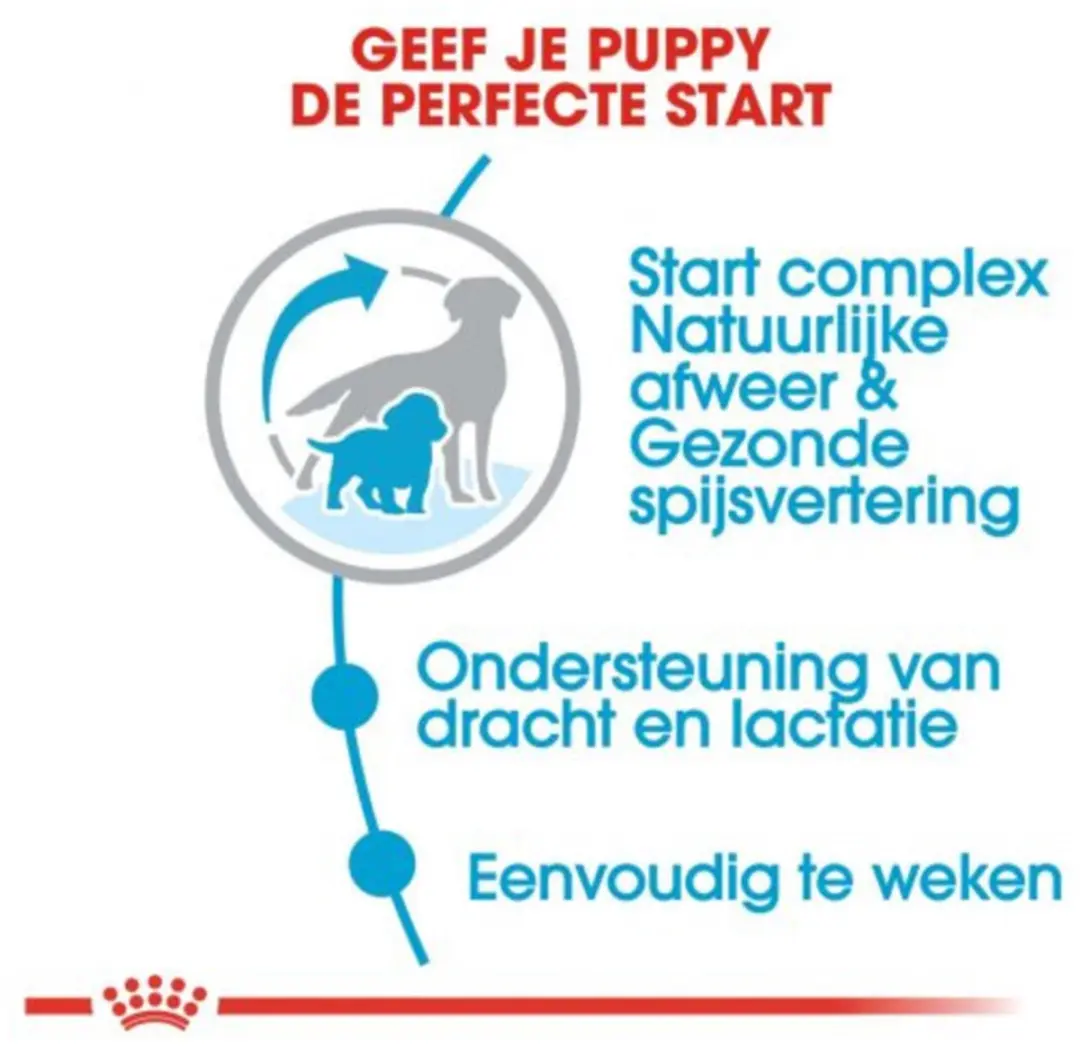 Royal Canin Medium Starter Mother & Babydog 15kg - afbeelding 6 van 6