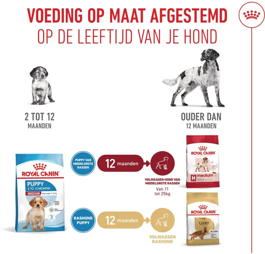 Royal Canin Puppy Medium Hondenbrokken 4kg