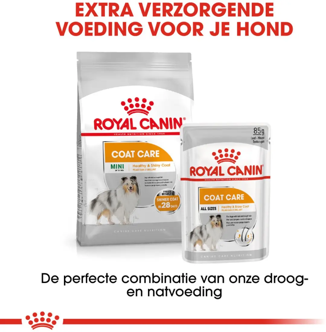 Royal Canin Coat Care Mini Hondenvoer 3kg