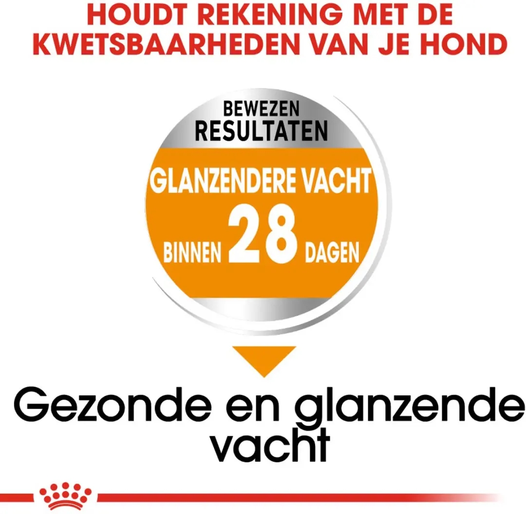 Royal Canin Coat Care Mini Hondenvoer 3kg