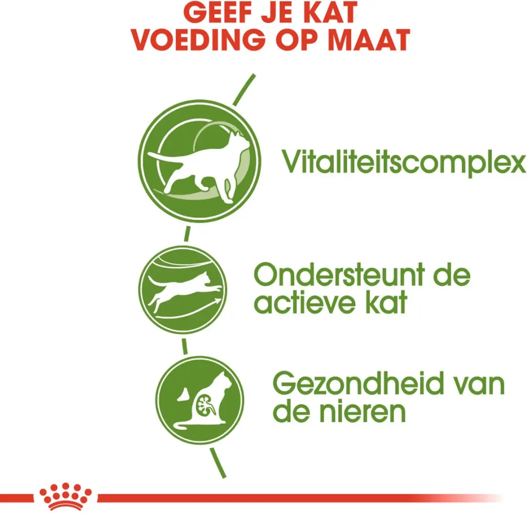 Royal Canin Outdoor 7+ Kattenvoer 400g