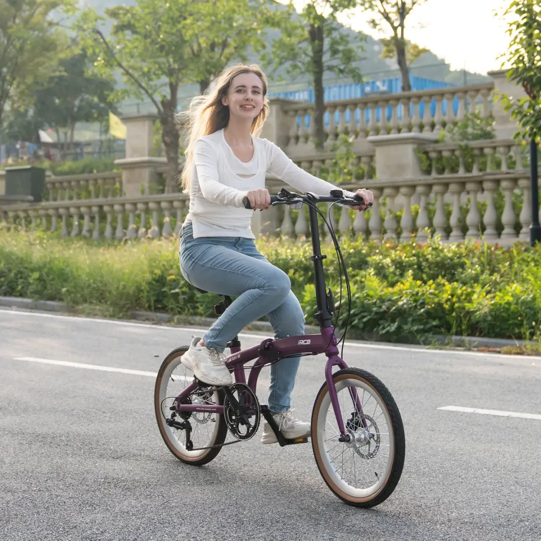 RCB GK4 Opvouwbare Fiets 20 inch - 21 Versnellingen - Paars